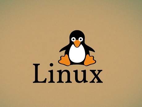 Linux保姆级教程.pdf，太全了！-IT面试星球