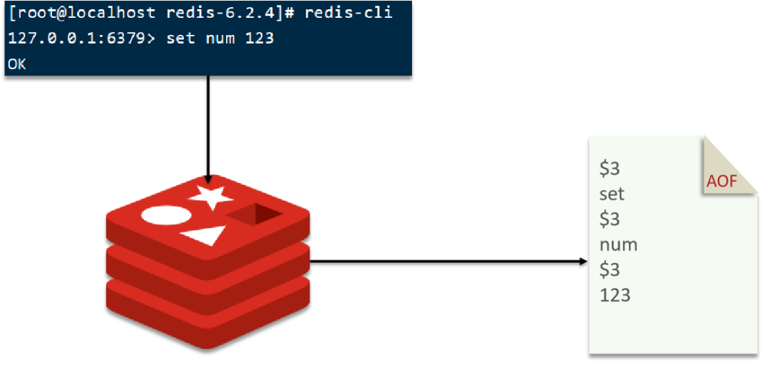 Redis 的持久化有哪几种方式？不同的持久化机制都有什么优缺点?