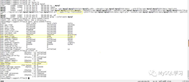 MySQL:open_files_limit中的一些坑-IT面试星球