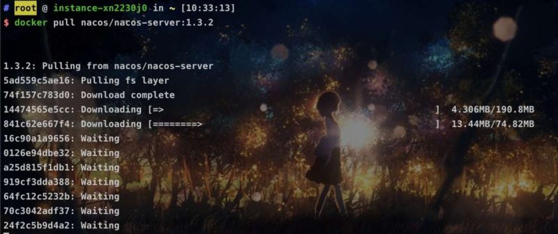 [docker]小白化运行nacos应用容器（mysql存储）-IT面试星球